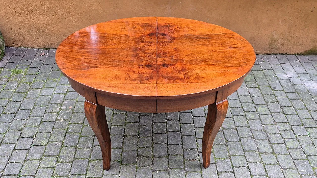 Extendable oval walnut burl table, 19th century 4