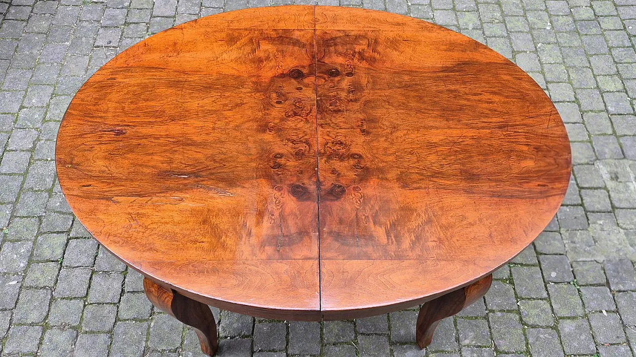 Extendable oval walnut burl table, 19th century 8