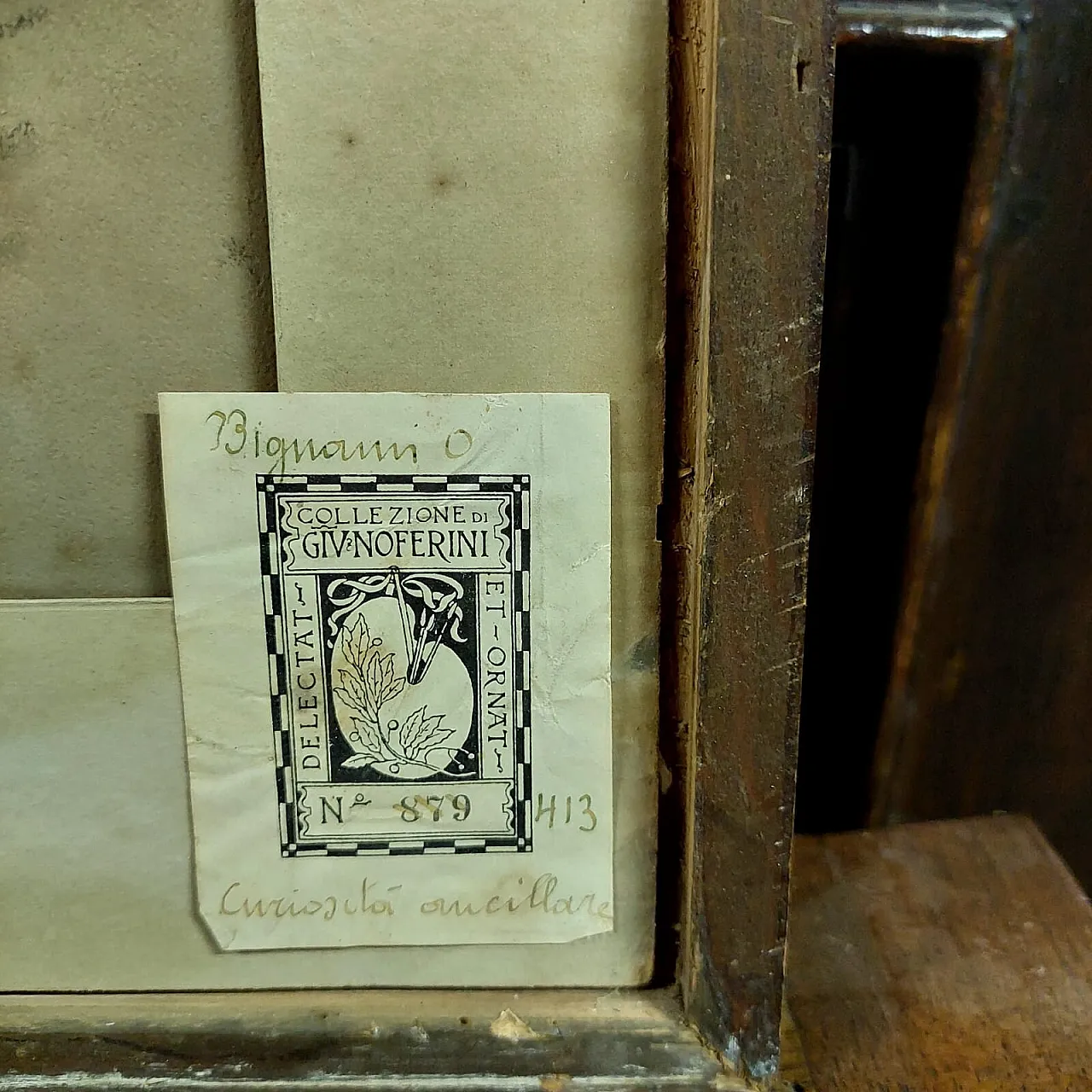 Disegno bifronte di Osvaldo Bignami, '800 3