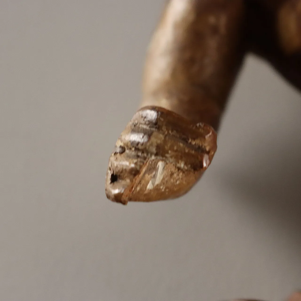 Coppia di putti in legno, '700 5