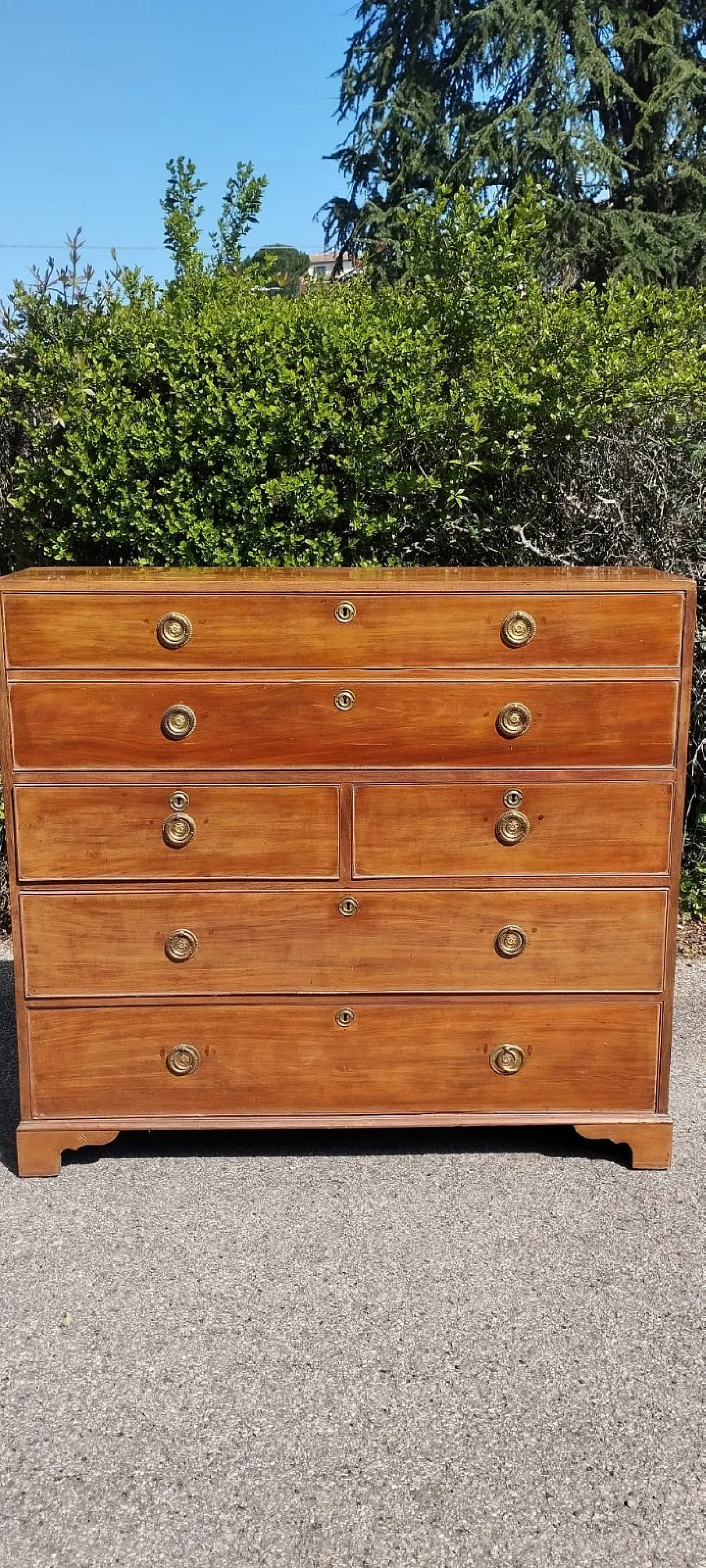 Cassettiera con scrittoio a ribalta in mogano Giorgio III, '800 3