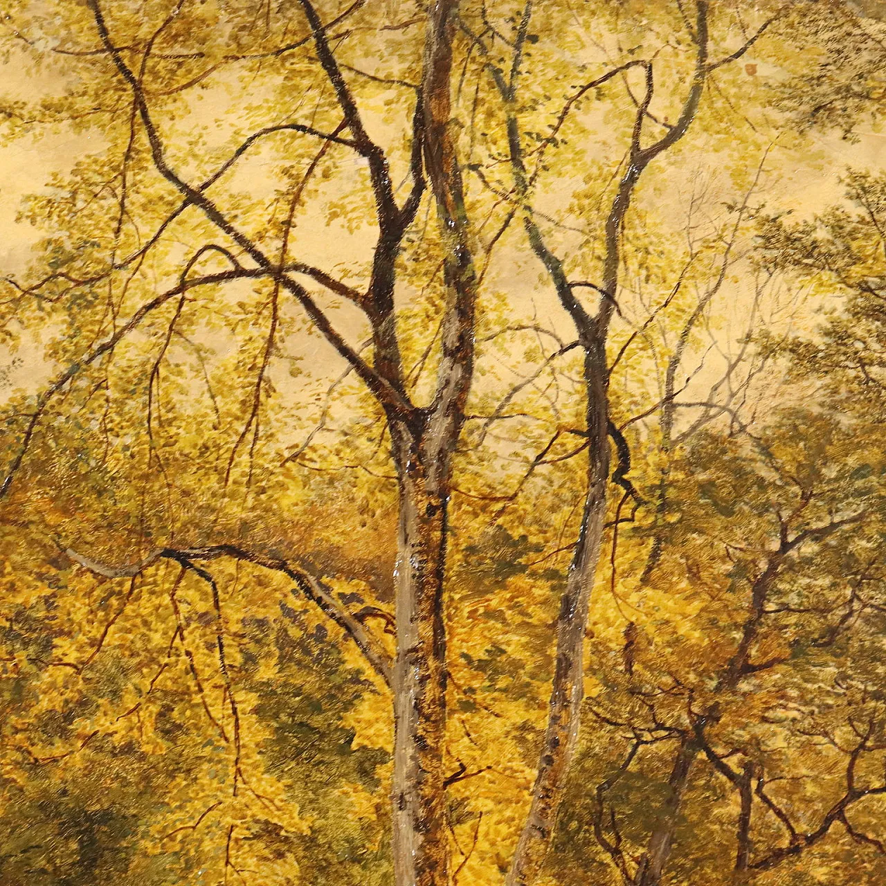 Dipinto grande paesaggio boschivo, '800 7