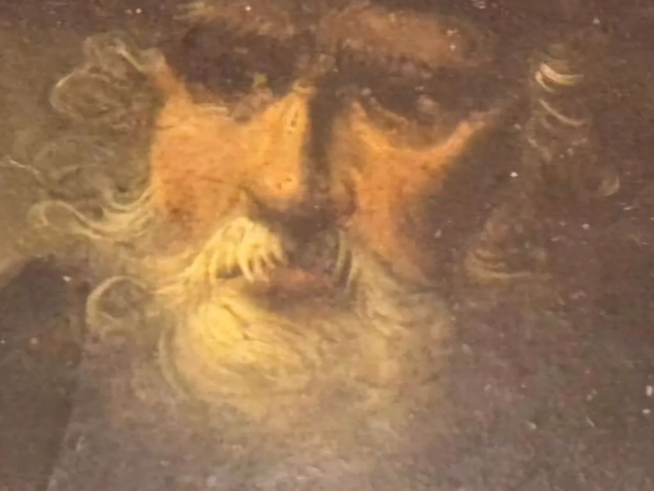 Tronie of a bearded old man, follower of Sir Peter Paul Rubens, 1700 3