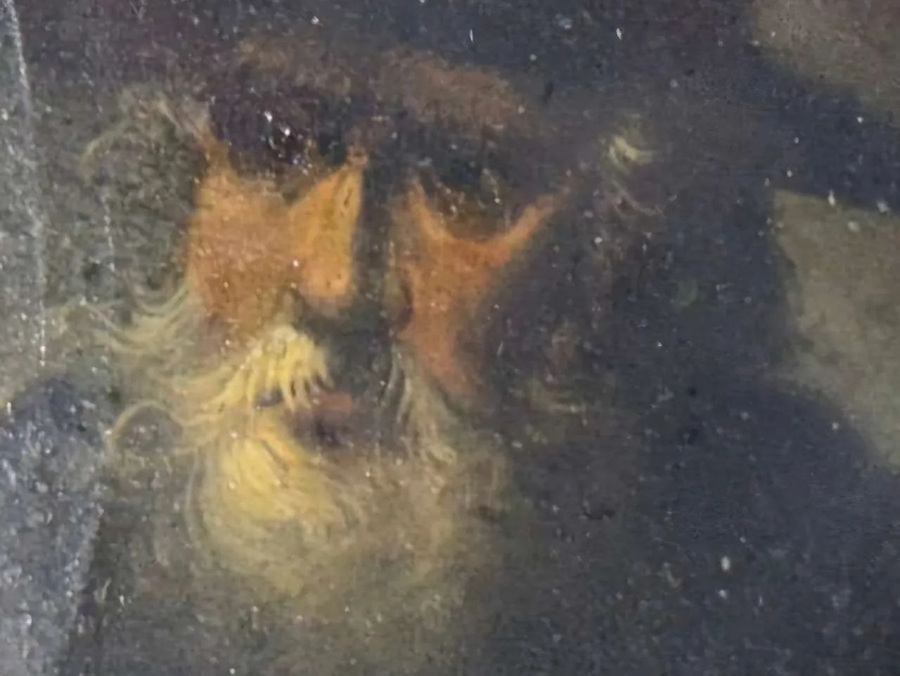 Tronie of a bearded old man, follower of Sir Peter Paul Rubens, 1700 4