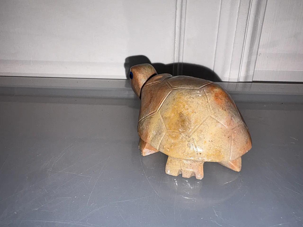 Tartaruga marmo, anni '50 4