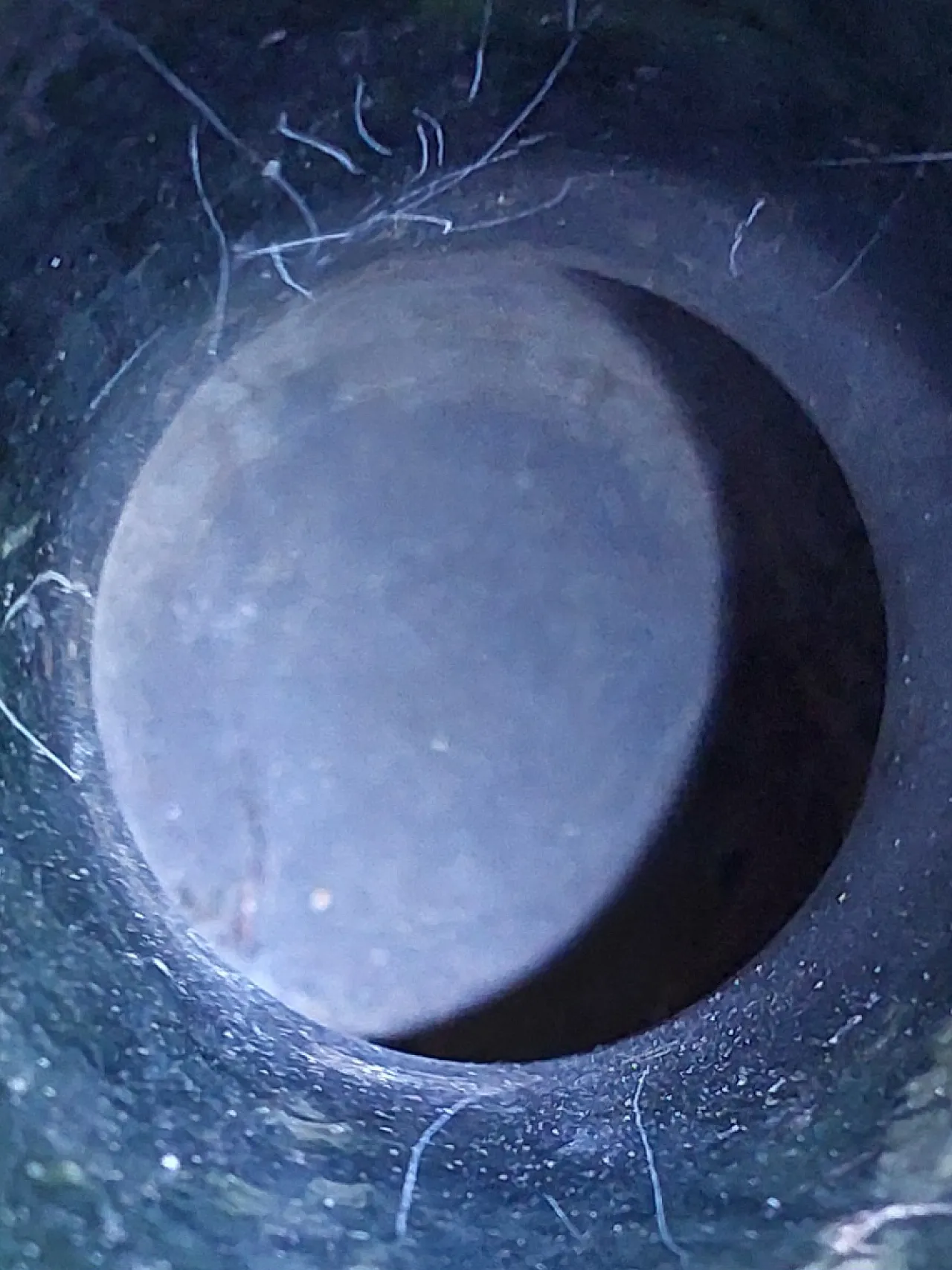 Spinach green nephrite jade vase,  17th century 17