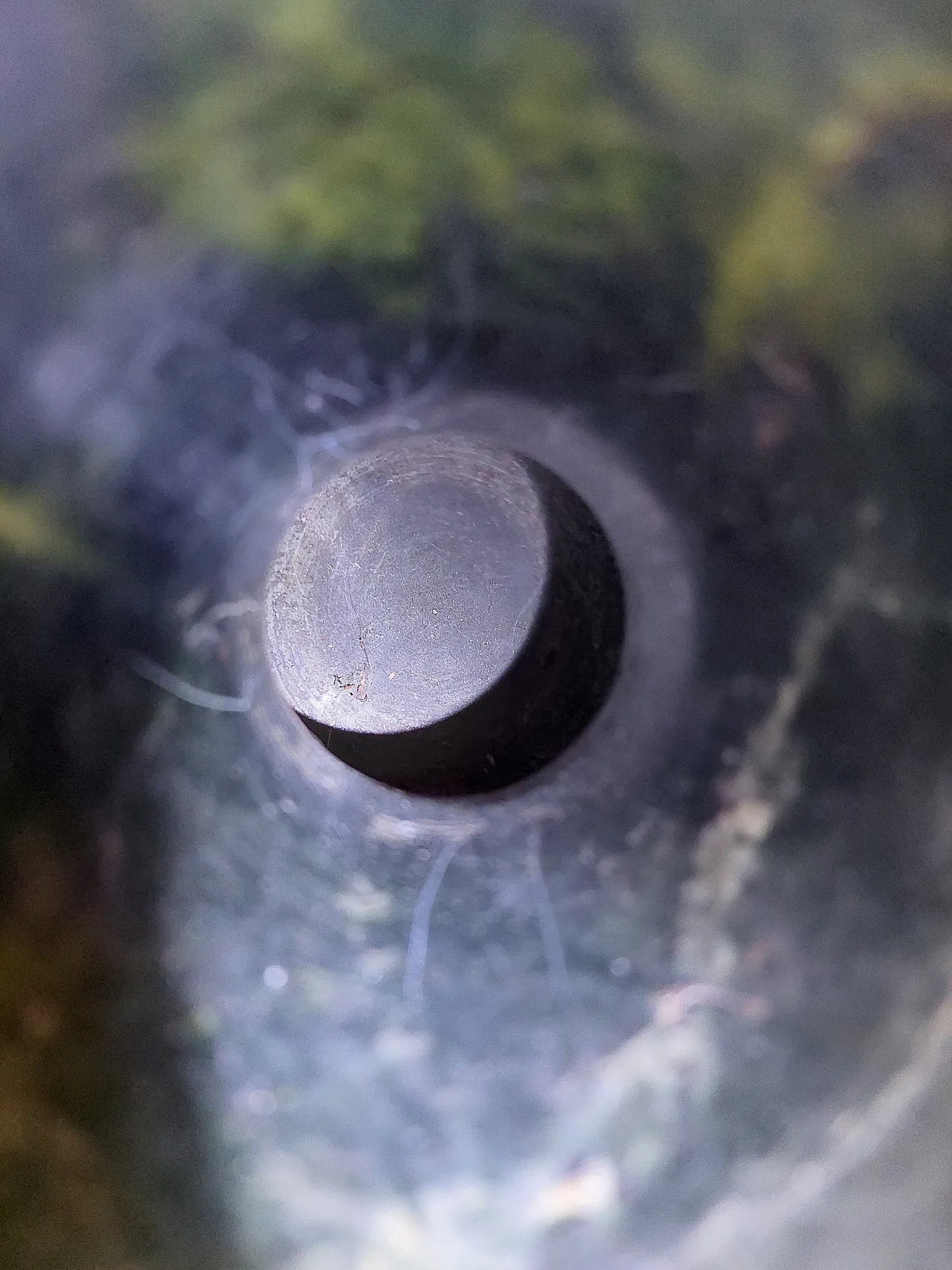 Spinach green nephrite jade vase,  17th century 18