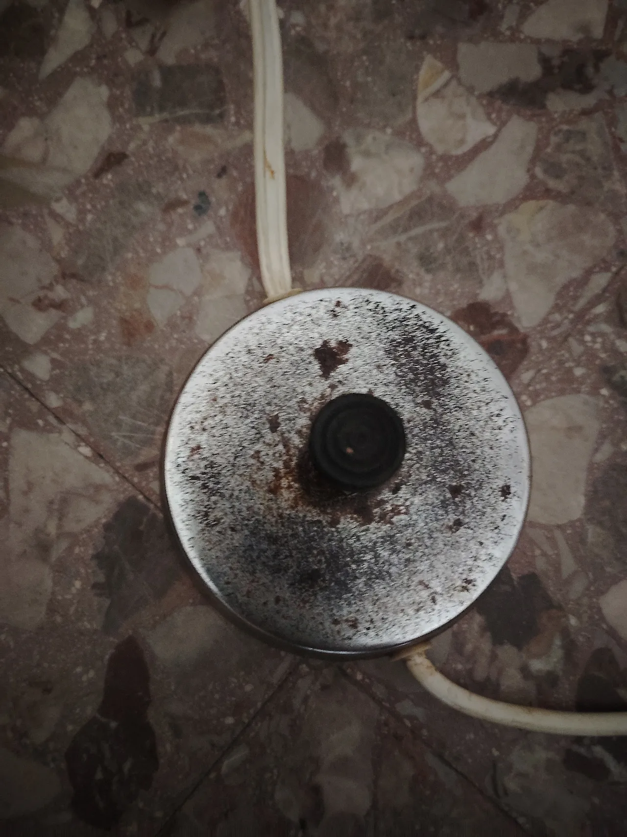 Floor lamp Alberello, 1950s 5