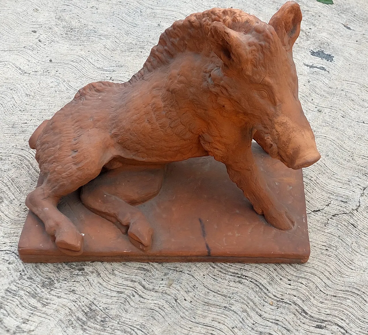 Porcellino Firenze, scultura in terracotta di Pietro Tacca, '900 5
