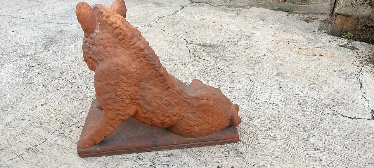 Porcellino Firenze, scultura in terracotta di Pietro Tacca, '900 6