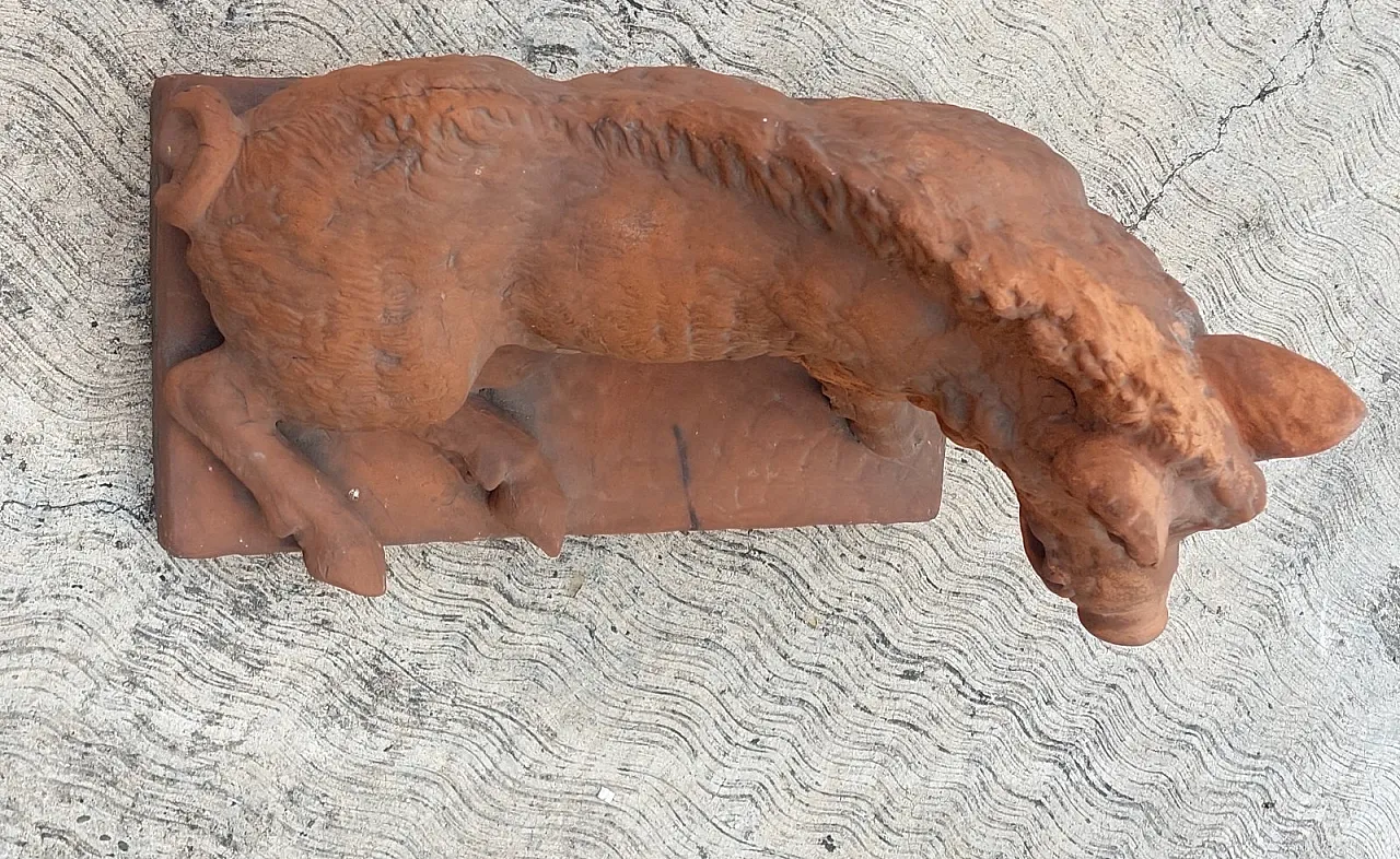 Porcellino Firenze, scultura in terracotta di Pietro Tacca, '900 8