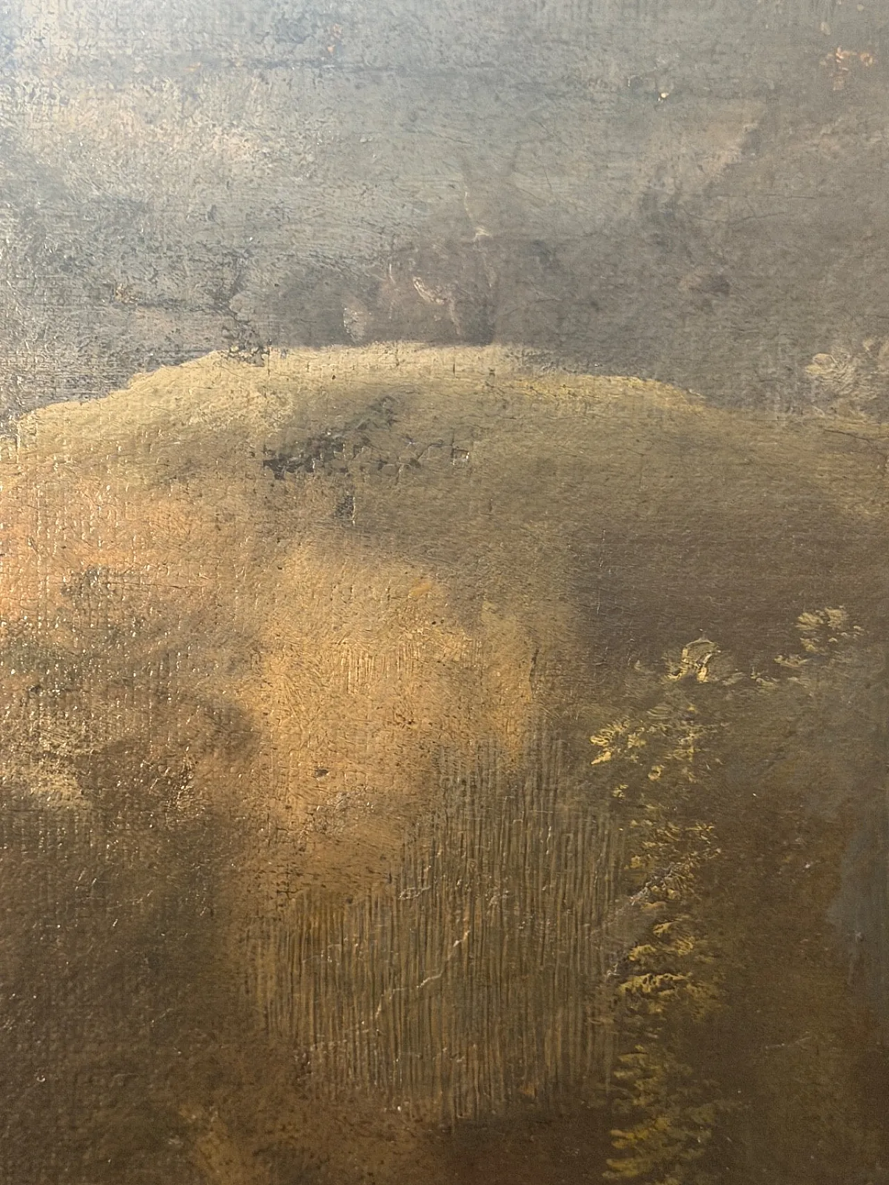 Scena pastorale, scuola di Giacinto Brandi, olio su tela, '600 5