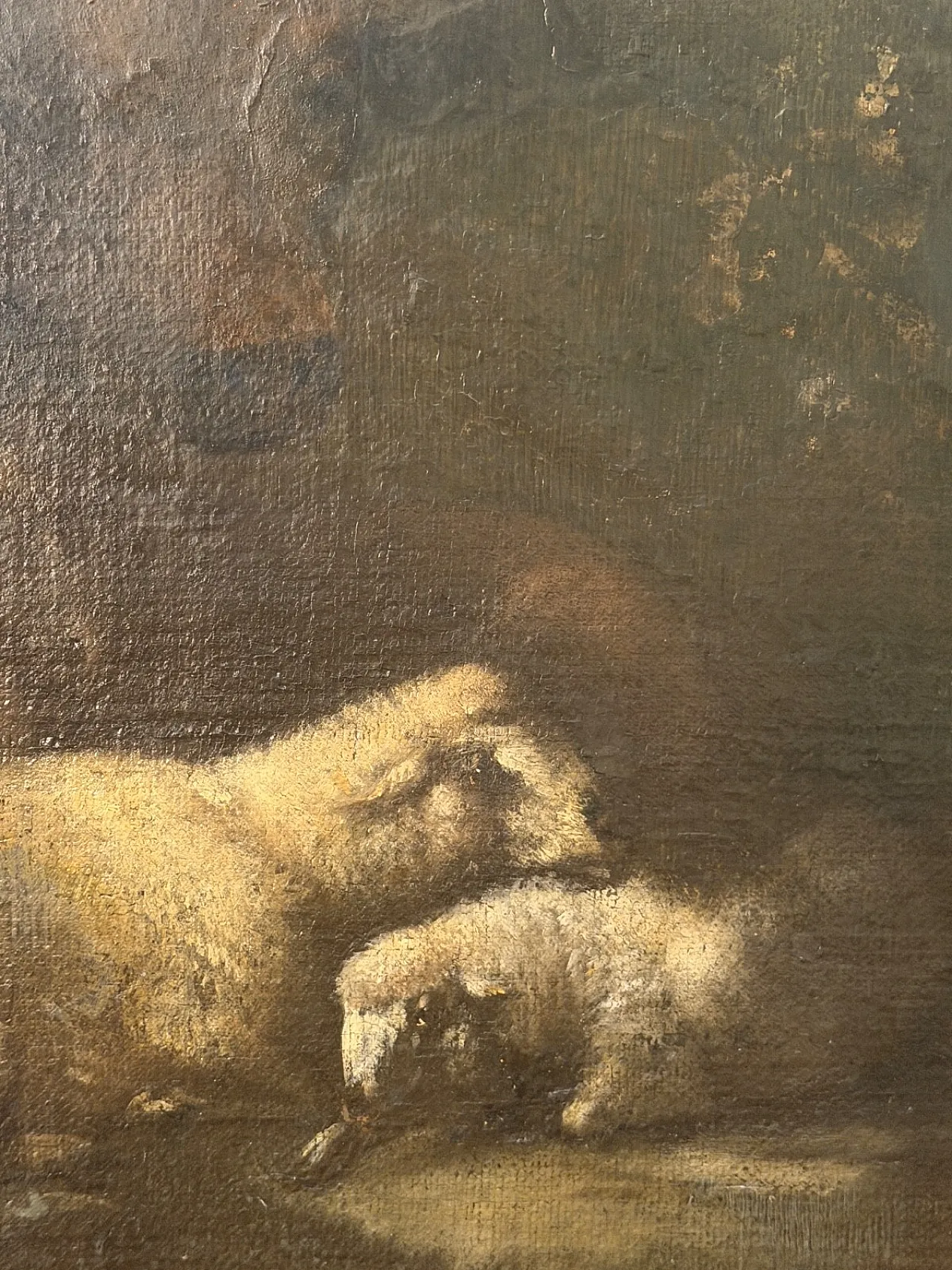 Scena pastorale, scuola di Giacinto Brandi, olio su tela, '600 8