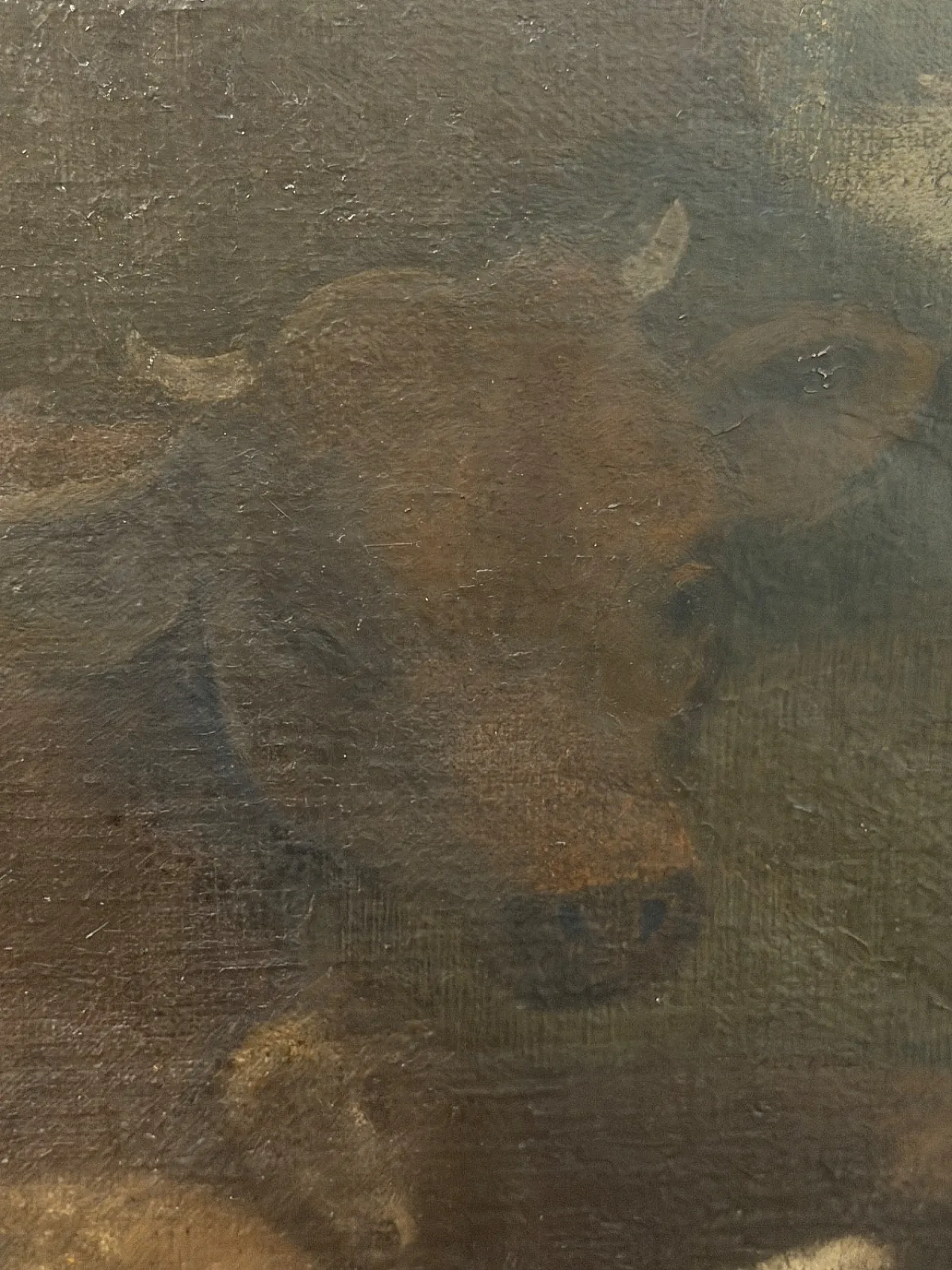 Scena pastorale, scuola di Giacinto Brandi, olio su tela, '600 9