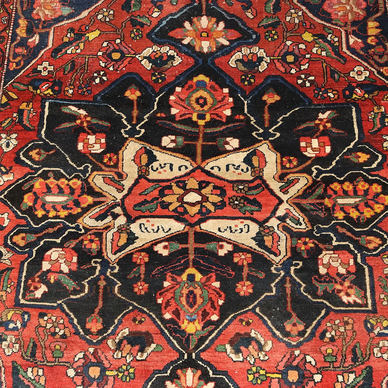 Bakhtiari carpet in cotton and wool, fine weave, 20th century 4