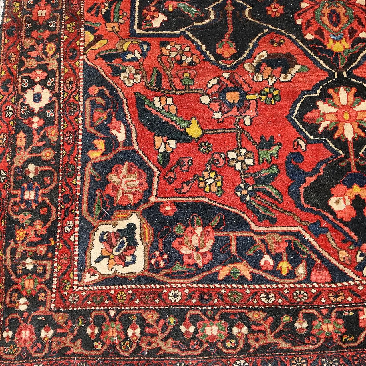 Bakhtiari carpet in cotton and wool, fine weave, 20th century 5