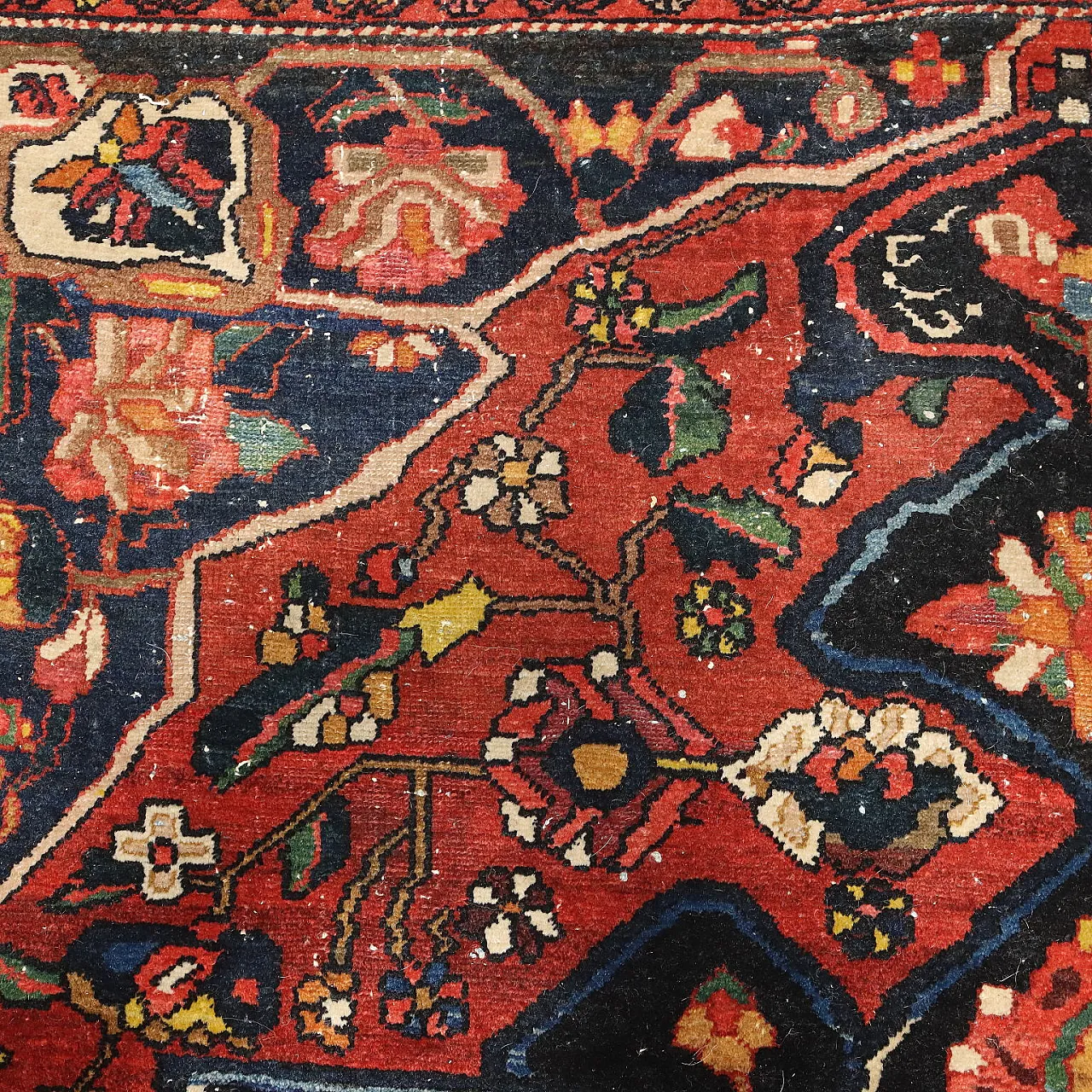Bakhtiari carpet in cotton and wool, fine weave, 20th century 6