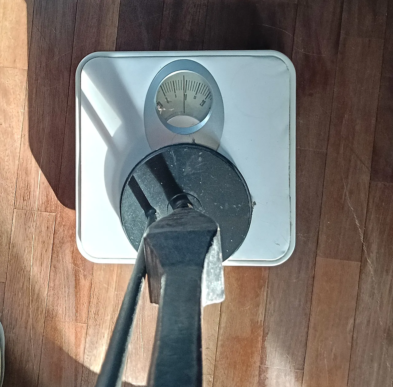 Coppia di incudini a stelo, anni '50 21