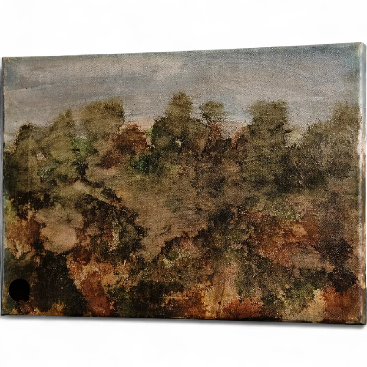 Silent Landscape Artist: T. C. Freiberger Medium: Acrylic on Canvas Mo 5