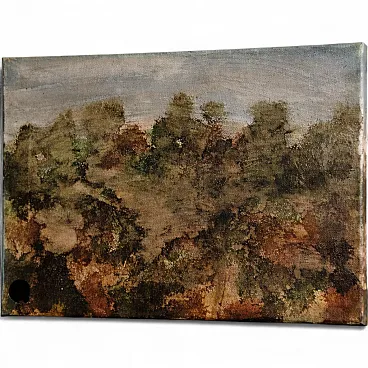 Silent Landscape Artist: T. C. Freiberger Medium: Acrylic on Canvas Mo