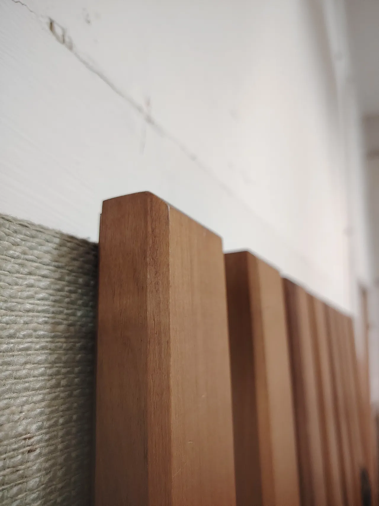 Wall coat hanger by Gianfranco Frattini for Cantieri Carugati, 1950 5