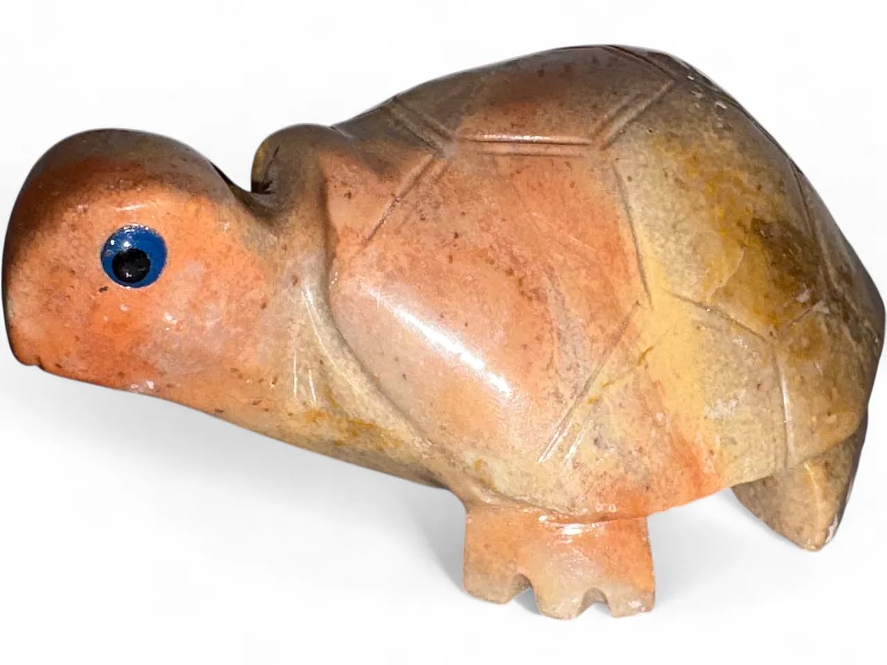 Tartaruga marmo, anni '50 8