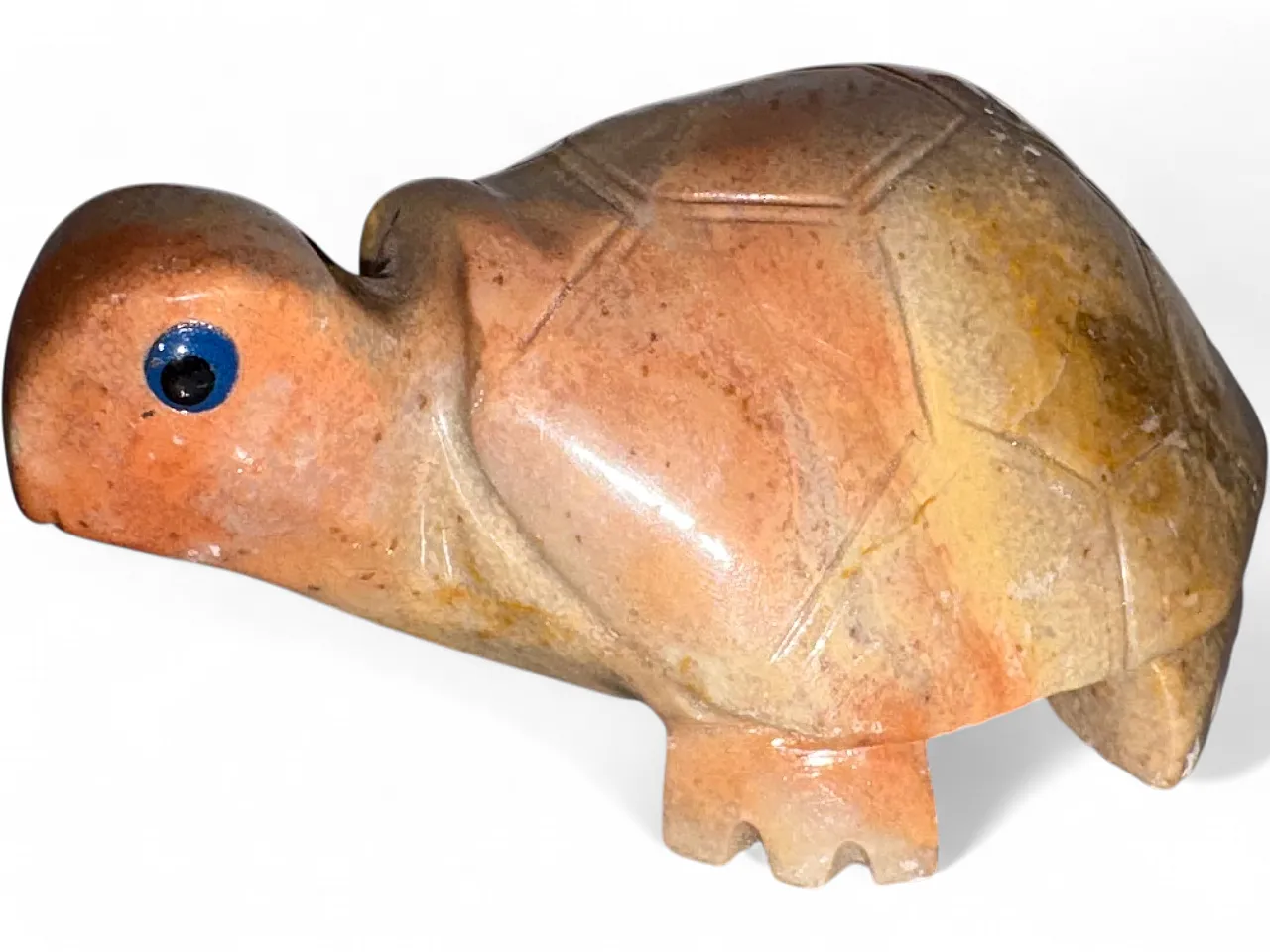 Tartaruga marmo, anni '50 9