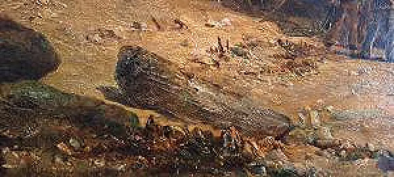 Naufragio sulla costa della Cornovaglia, olio su tela, '800 7