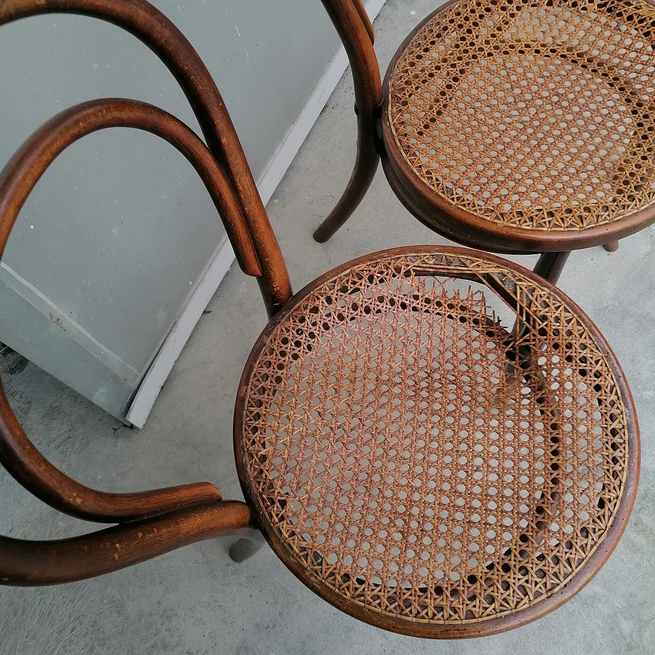 7 Sedie Marche Gebrüder Thonet e Wackerlin & C. modello n.18 '800 6