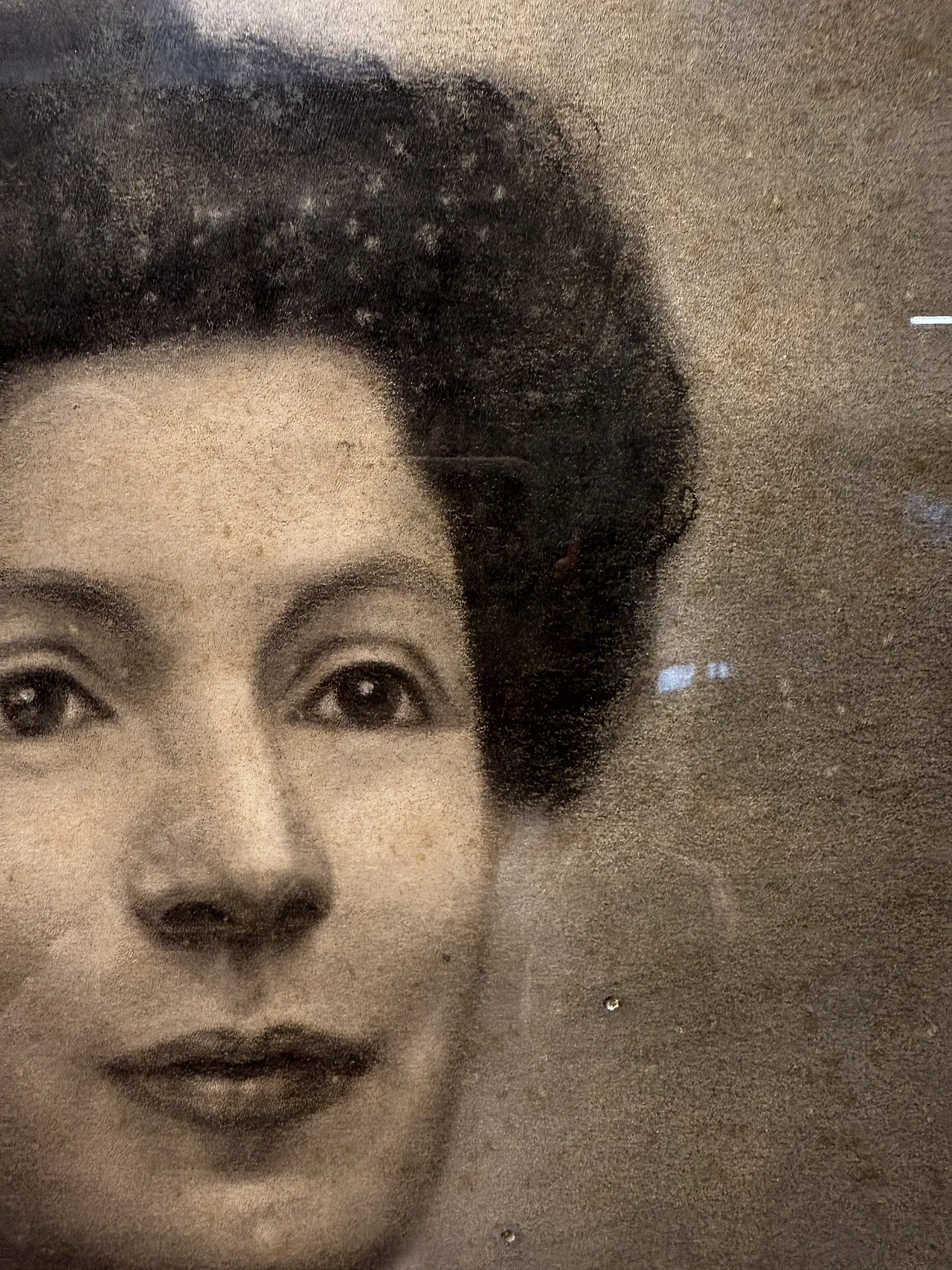 Ritratto realizzato a carboncino su carta, di dama, primo '900 6