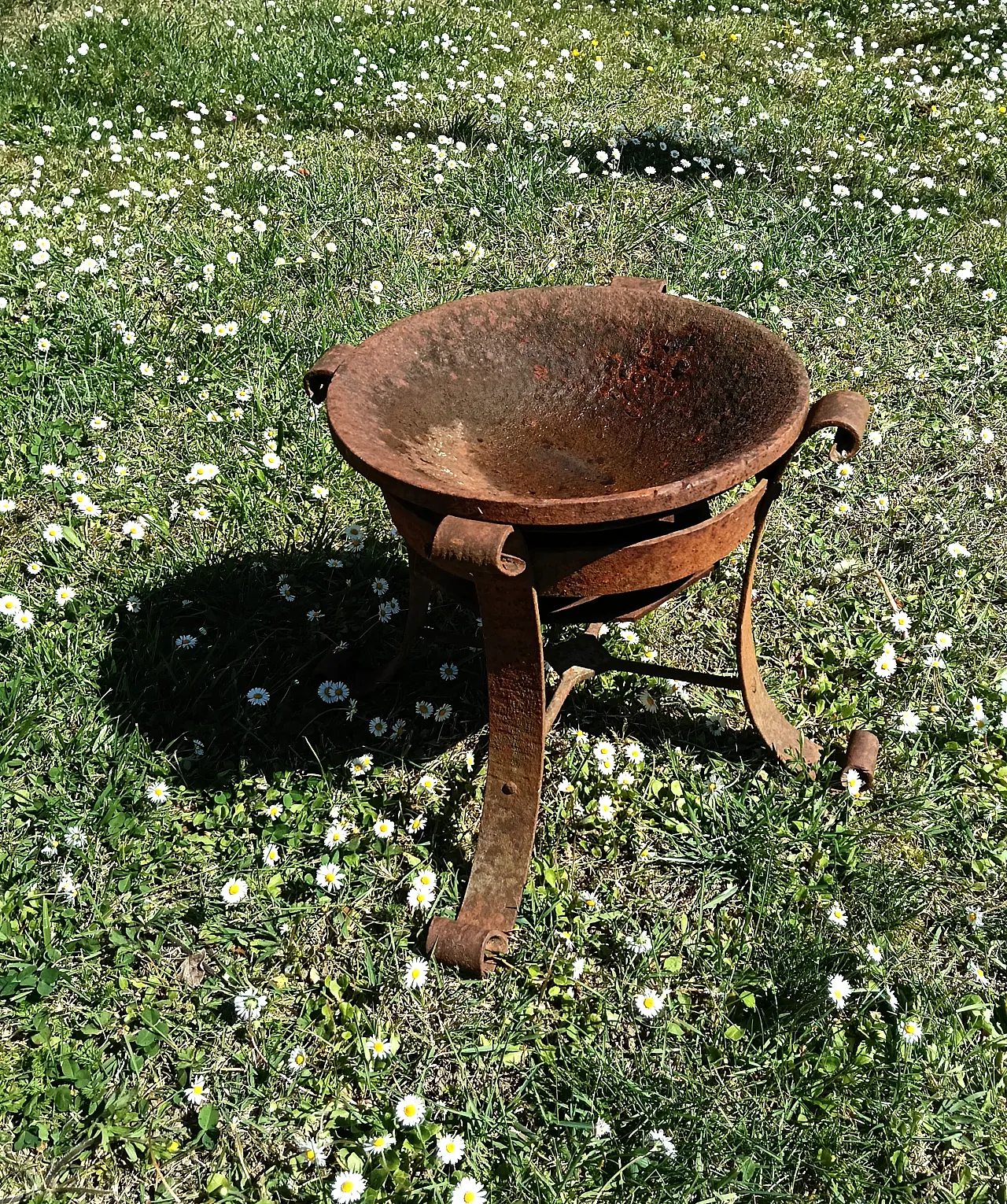 Bracere in ferro battuto, inizio '900 2