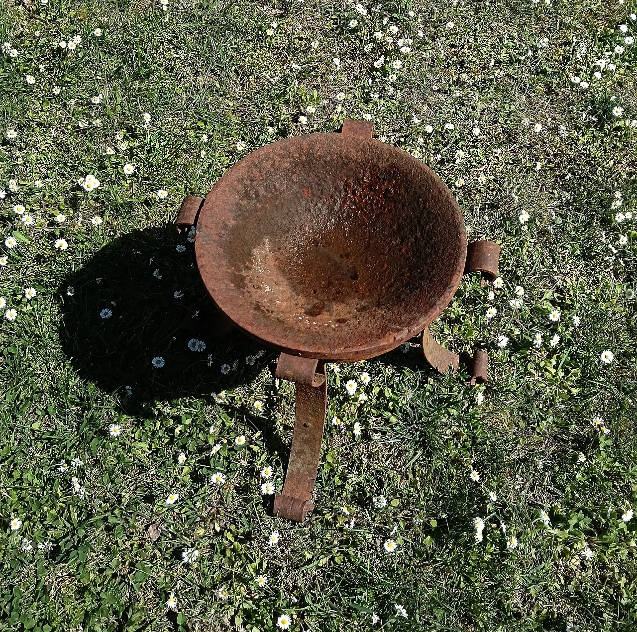 Bracere in ferro battuto, inizio '900 4