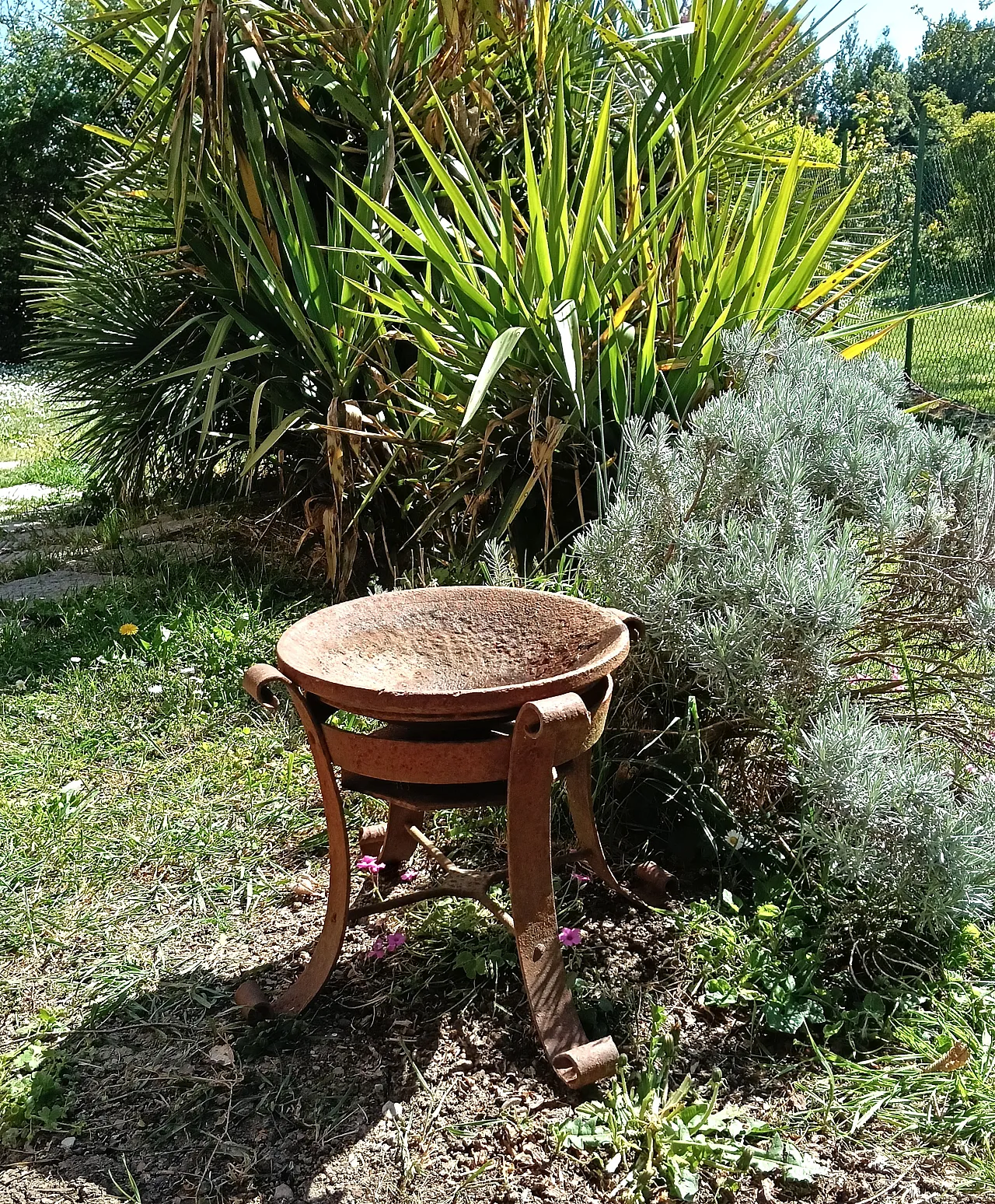 Bracere in ferro battuto, inizio '900 5