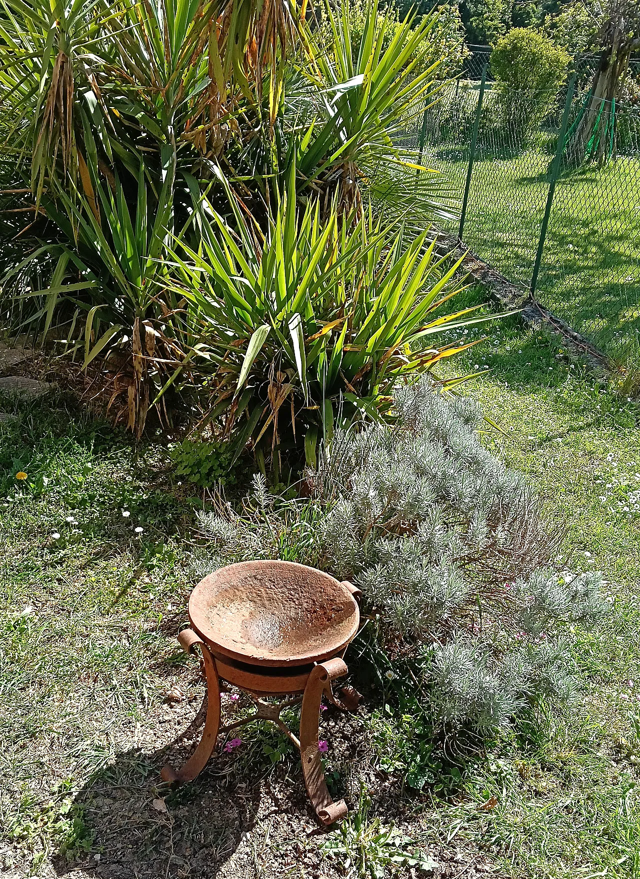 Bracere in ferro battuto, inizio '900 11