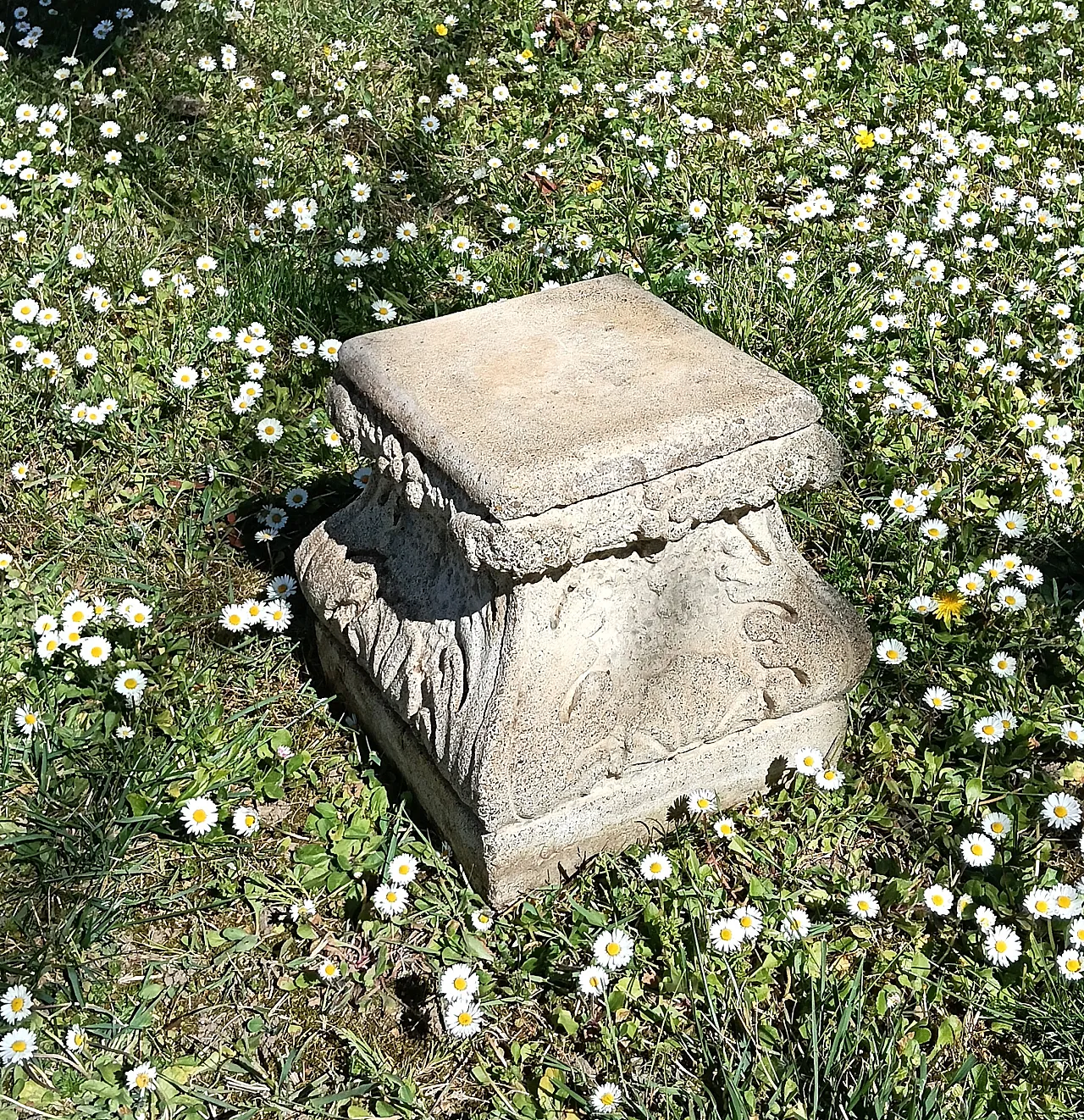 Capitello Corinzio, in cemento, anni '40 3