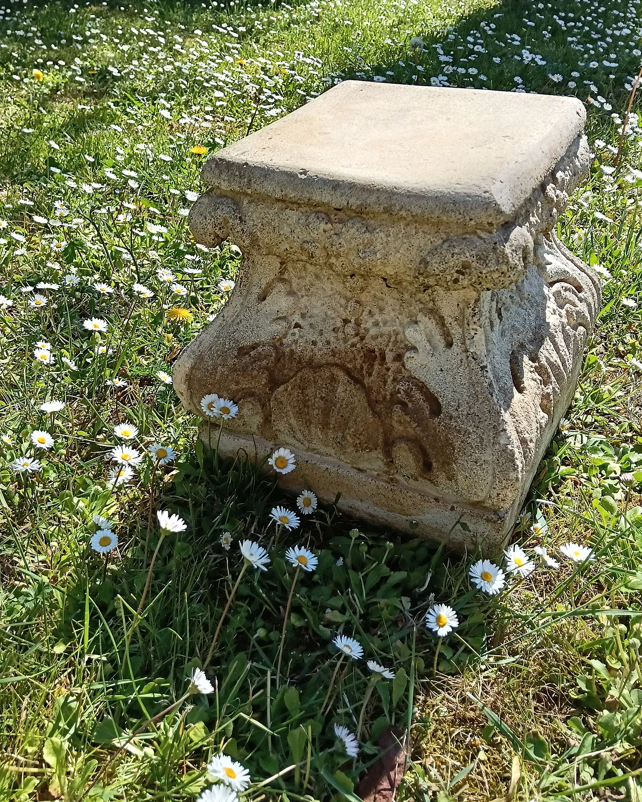 Capitello Corinzio, in cemento, anni '40 6