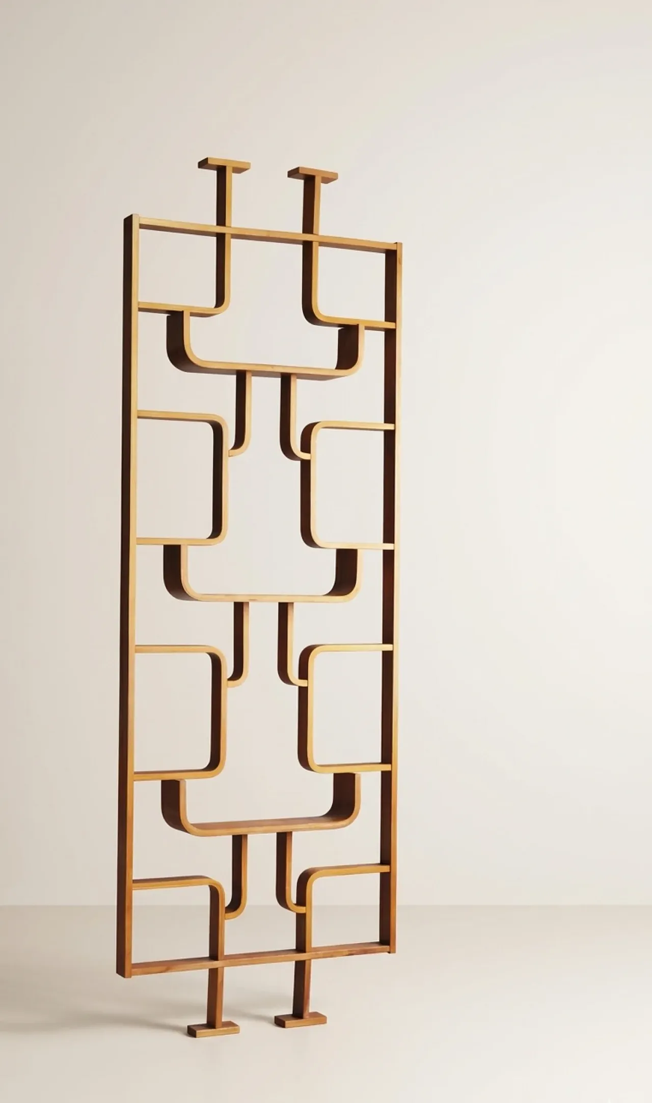 Room divider by Ludvik Volak for Drevopodnik Holesov, 1970s 1