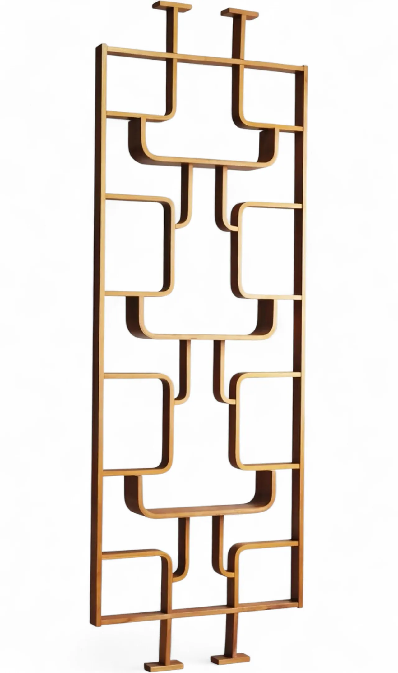 Room divider by Ludvik Volak for Drevopodnik Holesov, 1970s 6