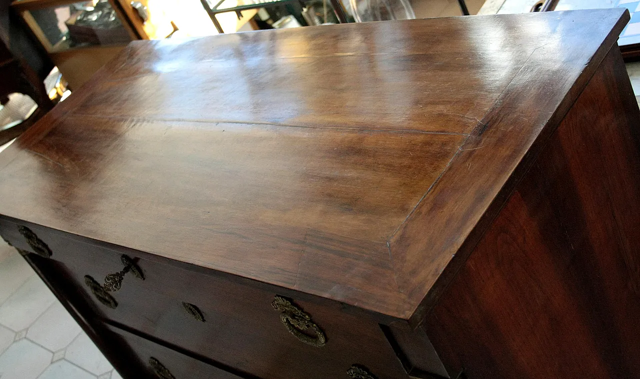 Empire walnut chest of drawers with bronze details, 19th century 10