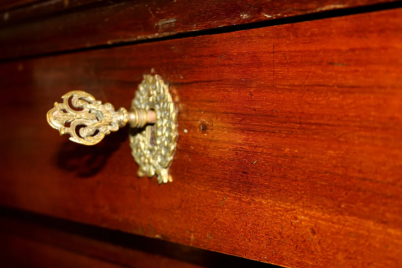 Empire walnut chest of drawers with bronze details, 19th century 15