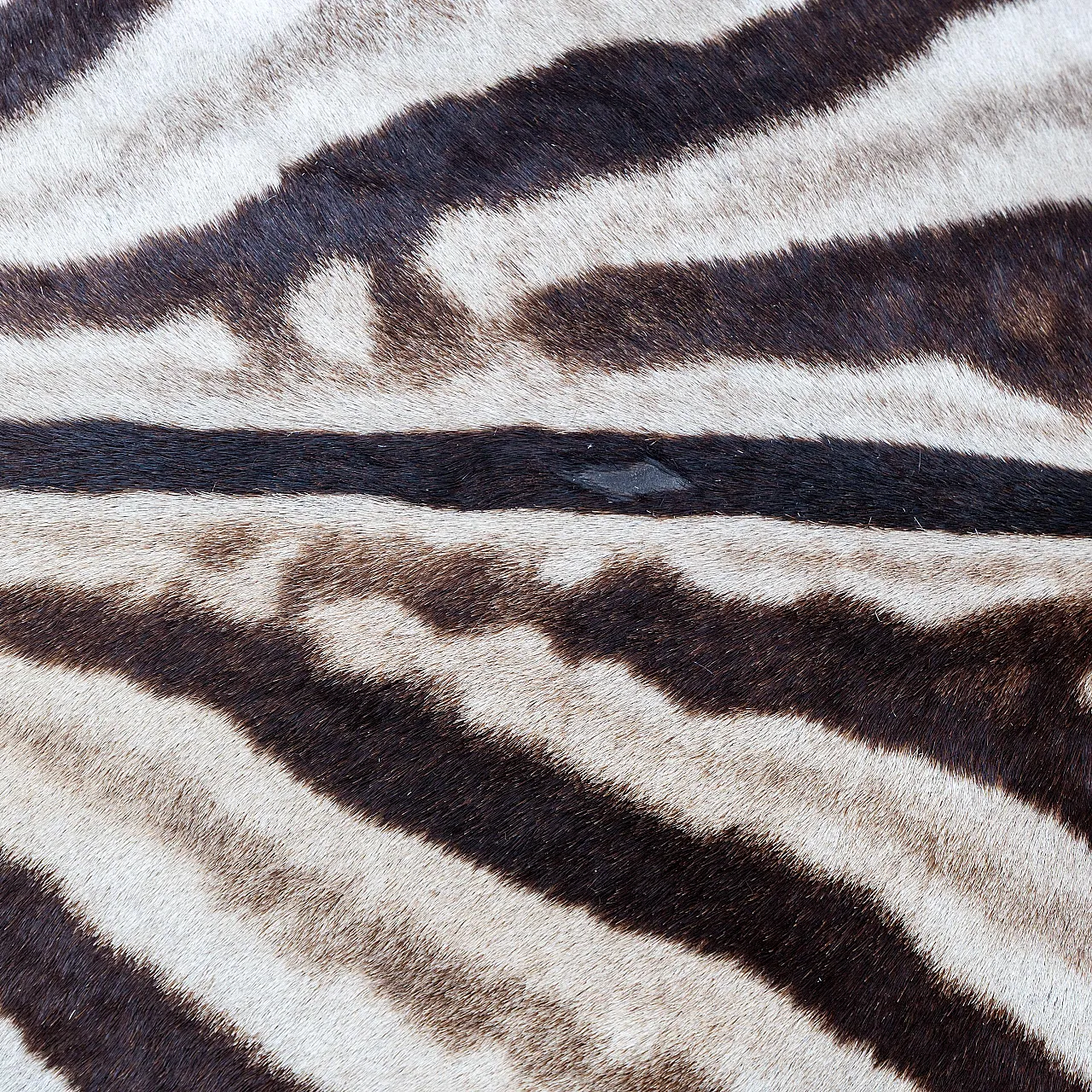 Chaise longue cowhide with sebra pattern, 1980s 10