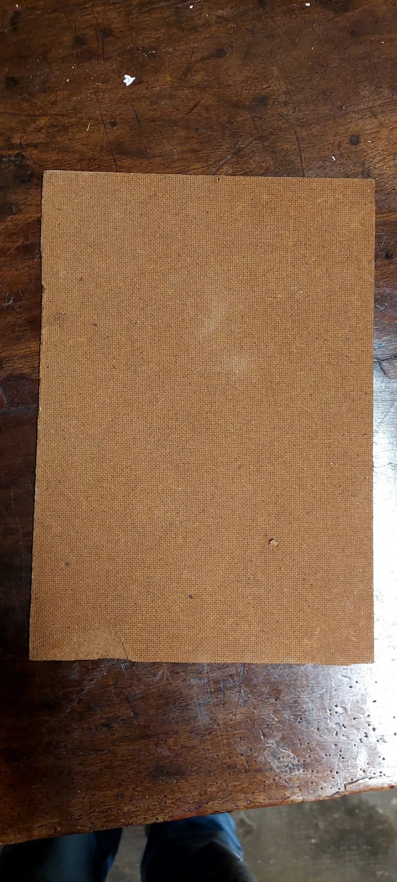 Soggetto a cavallo, olio su faesite, fine '800 9