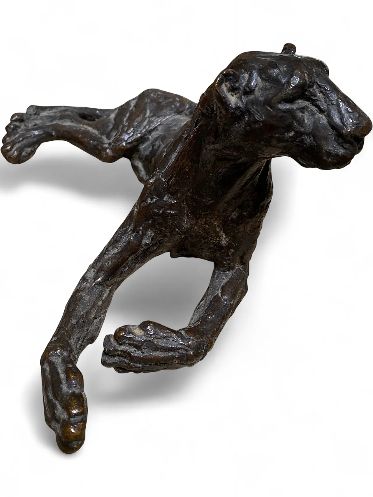 Modello in bronzo di pantera, ‘900 9