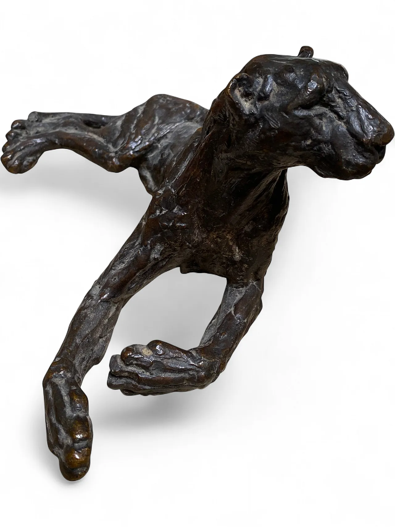 Modello in bronzo di pantera, ‘900 10