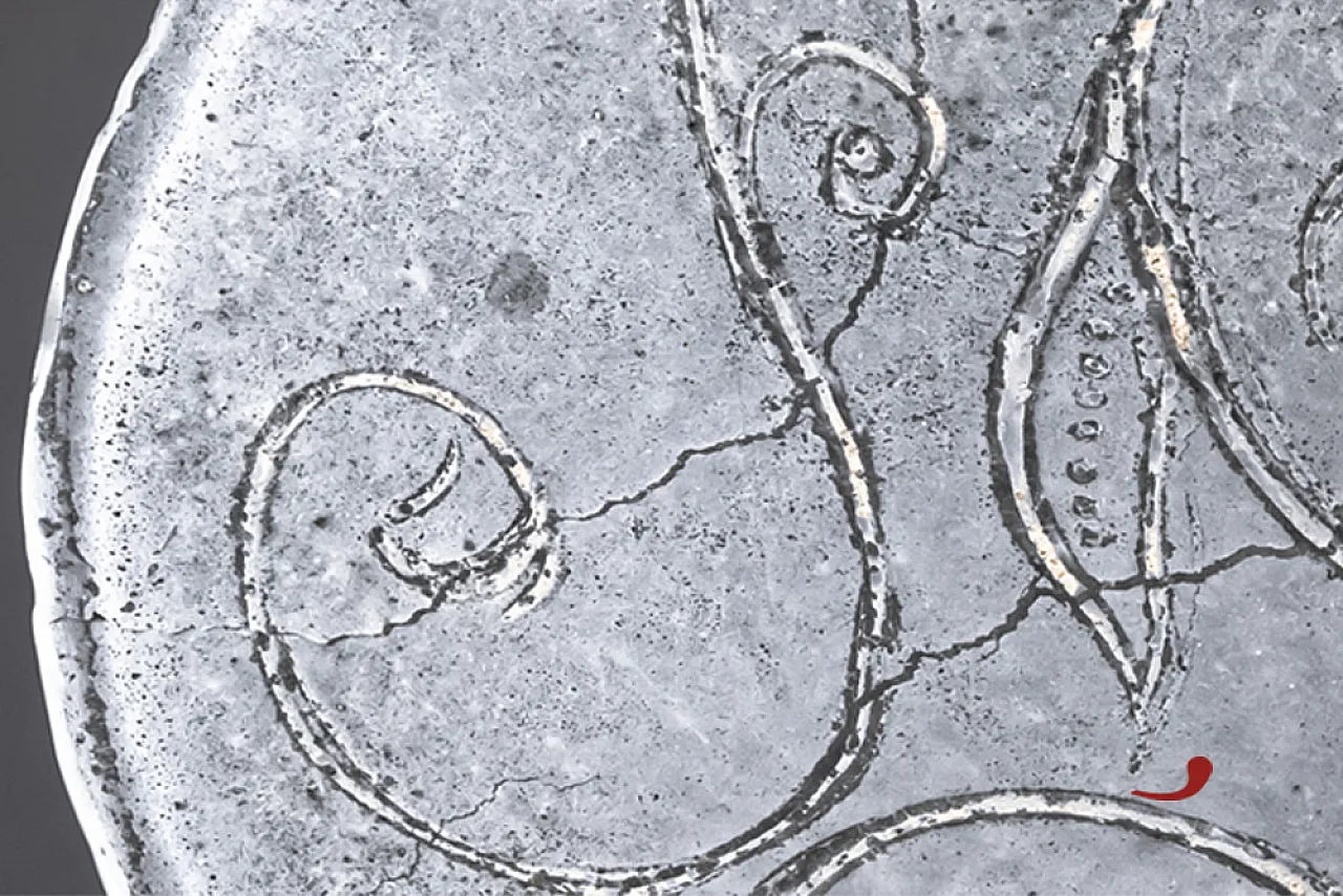 Glass sculpture plate Italian craftsmanship, 2000s 4