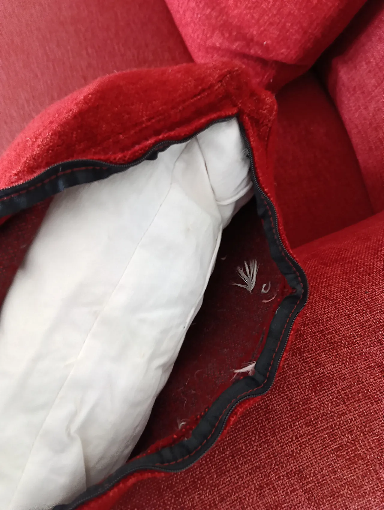 B&B ITALIA sofa SOLO 246 MAXALTO in red material cotton, 2000s 83