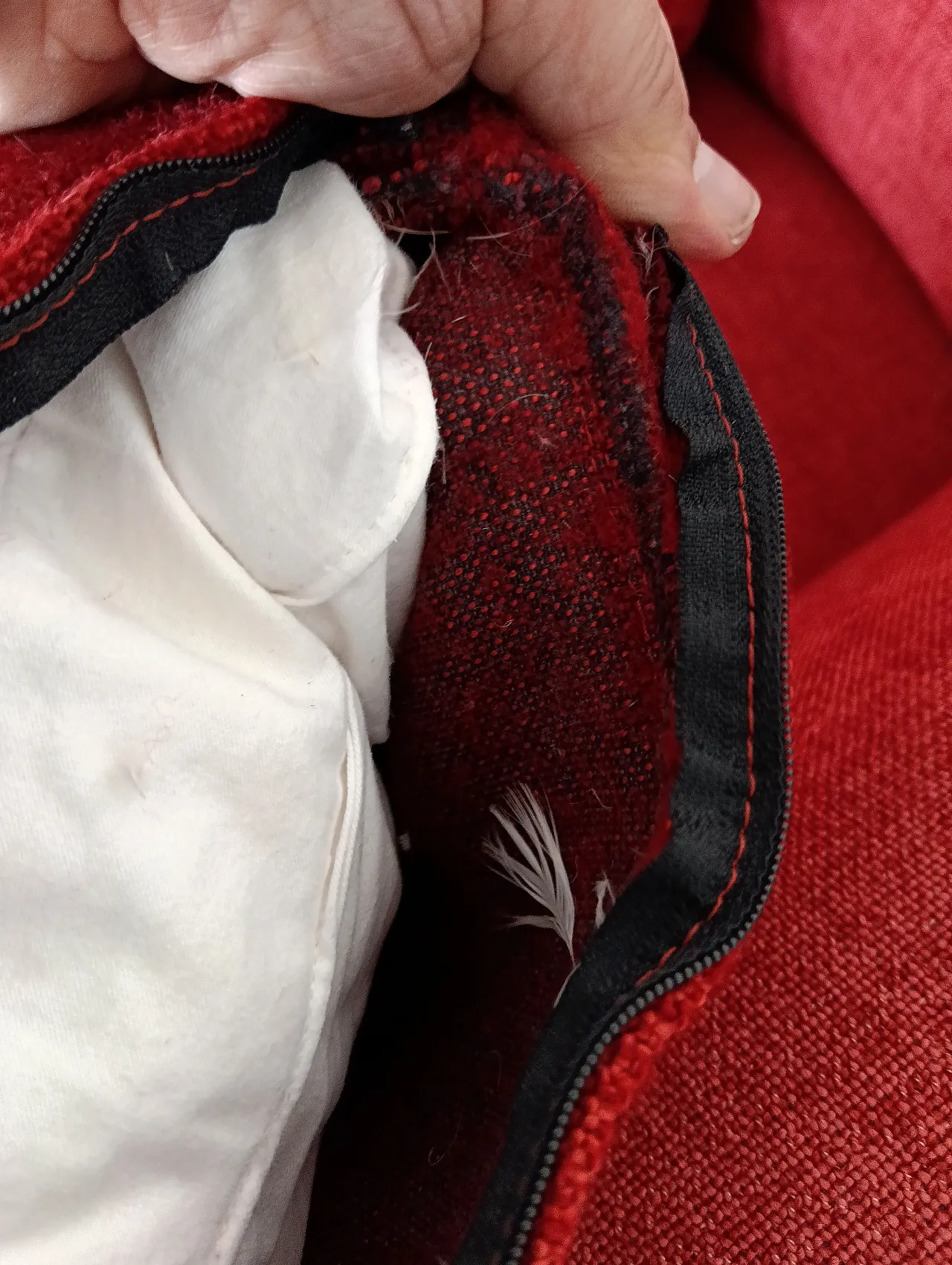 B&B ITALIA sofa SOLO 246 MAXALTO in red material cotton, 2000s 84