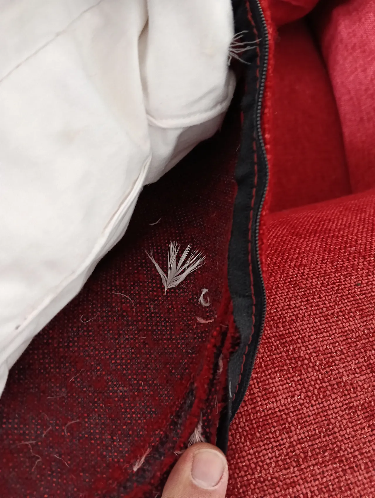 B&B ITALIA sofa SOLO 246 MAXALTO in red material cotton, 2000s 85