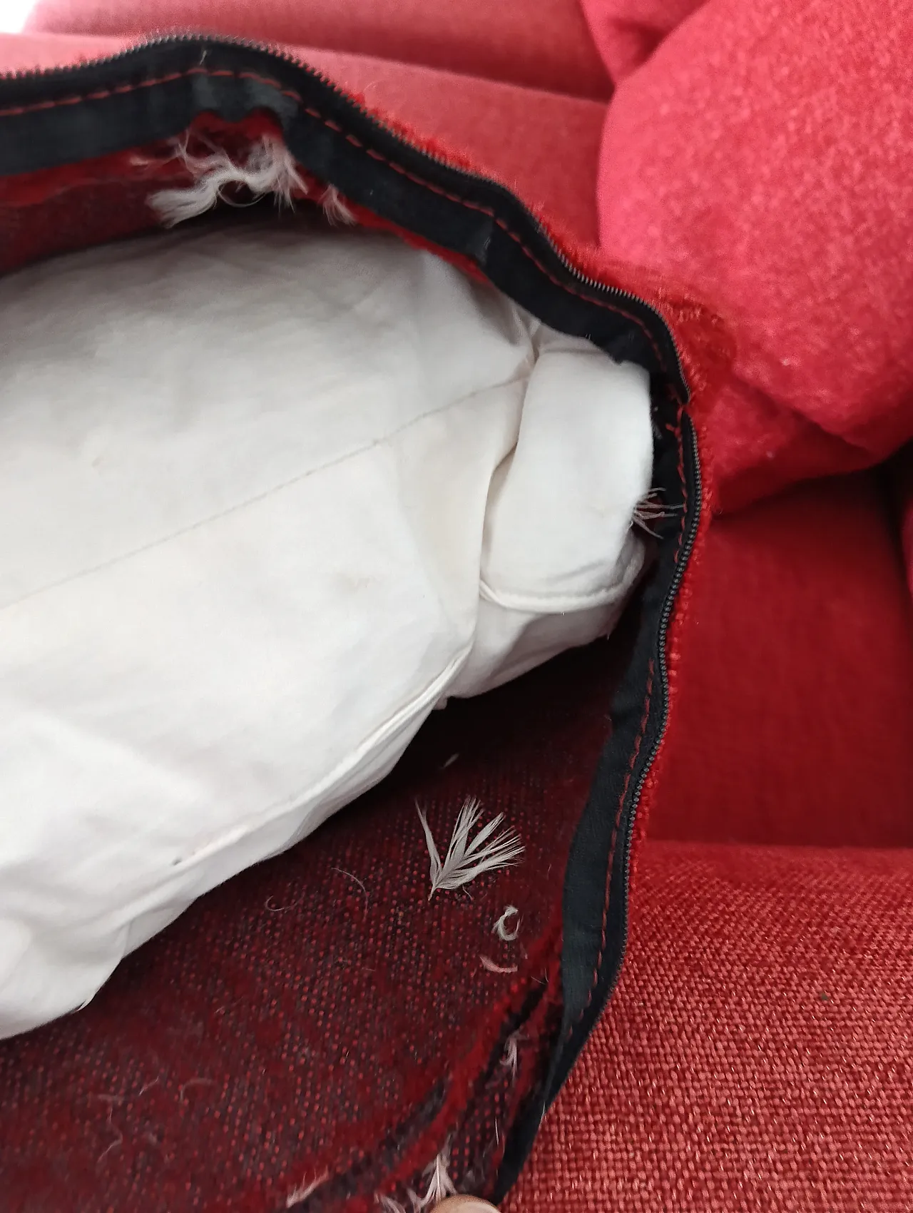 B&B ITALIA sofa SOLO 246 MAXALTO in red material cotton, 2000s 86