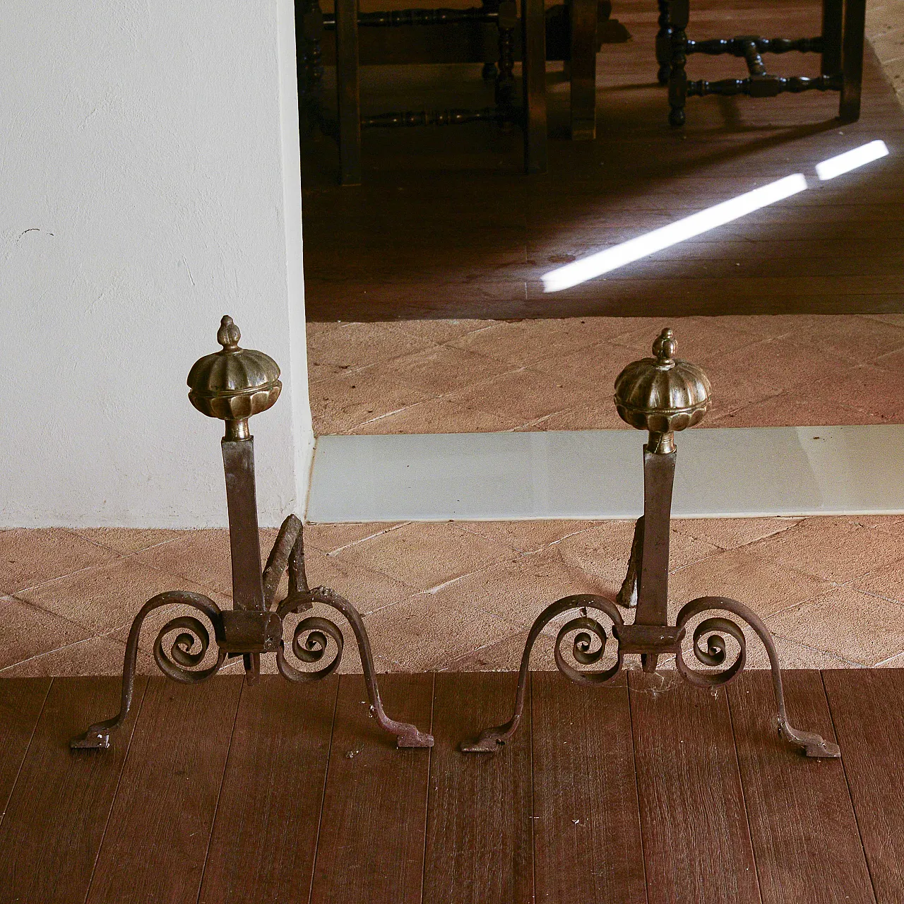 Pair of wings with machined metal pomes, late 19th century 3